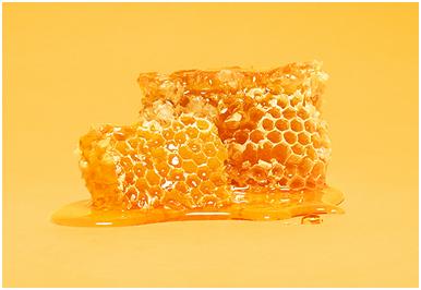 Android-3.0-Honeycomb